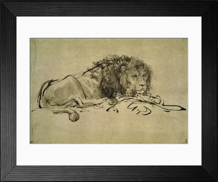 Framed Print : Lion by Rembrandt Framed Print : Lion by Rembrandt