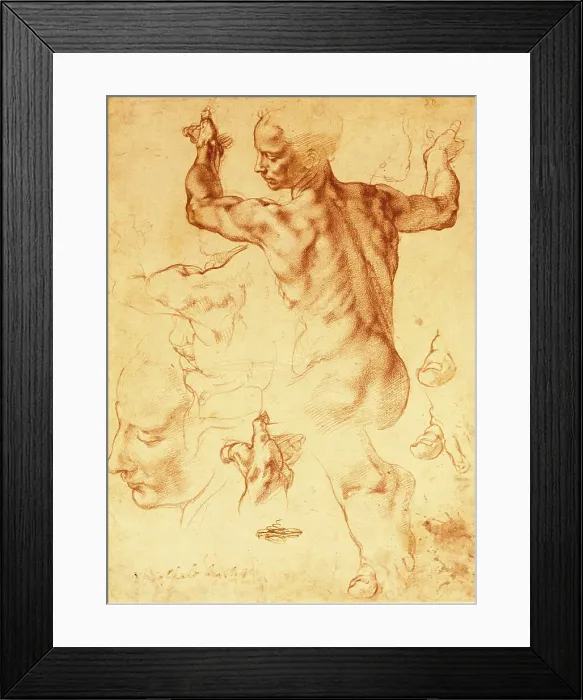 Framed Print : Anatomy Sketches (Libyan Sibyl) by Michelangelo Framed Print : Anatomy Sketches (Libyan Sibyl) by Michelangelo