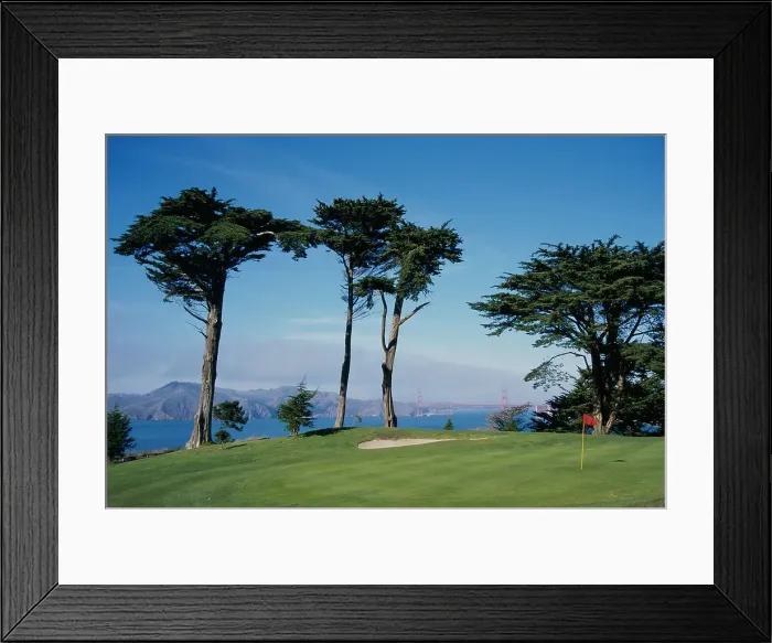 Framed Print : San Francisco, California, USA Framed Print : San Francisco, California, USA