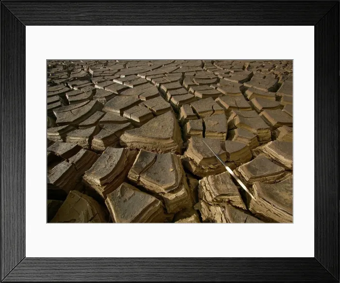 Framed Print : Porqupine (Hystrix africaeausralis) quill on dried mud Framed Print : Porqupine (Hystrix africaeausralis) quill on dried mud
