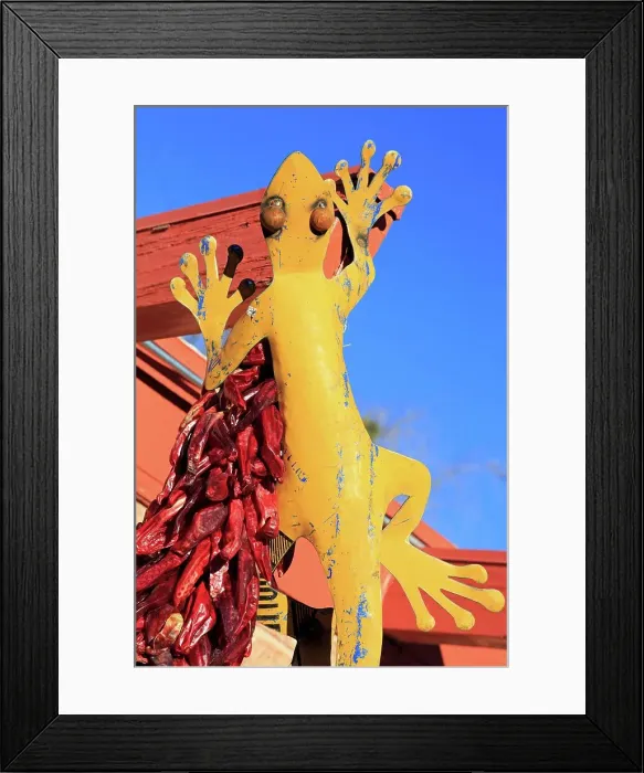 Framed Print : USA, Arizona, Sedona, Crafti handed gecko Framed Print : USA, Arizona, Sedona, Crafti handed gecko