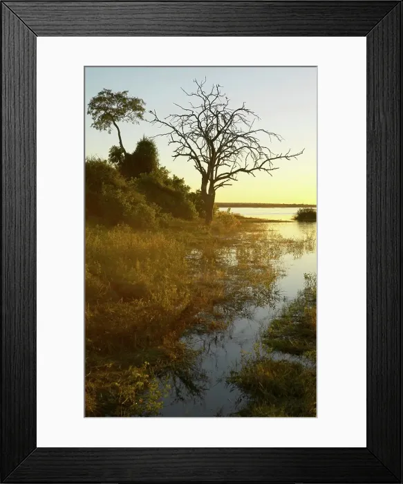 Framed Print : Chobe River in Flood. Chobe National Park Framed Print : Chobe River in Flood. Chobe National Park