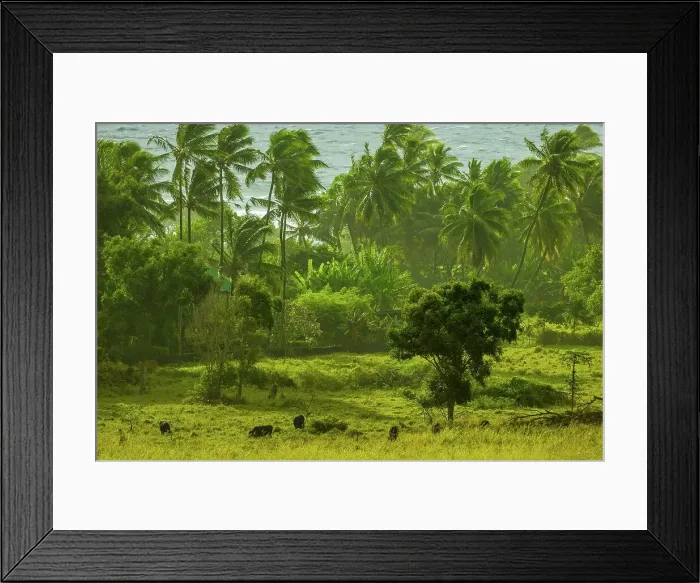 Framed Print : USA, Hawaii, Maui, Hana area coast in morning