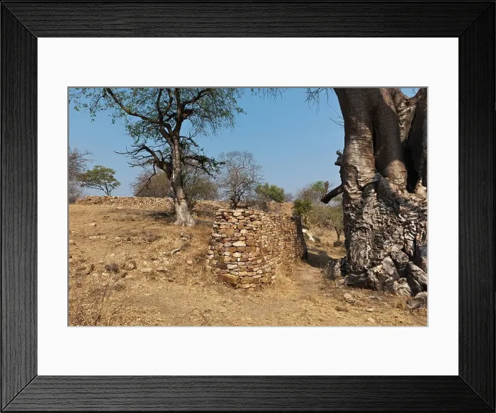 Framed Print : Kruger National Park. Mpumalanga. South Africa