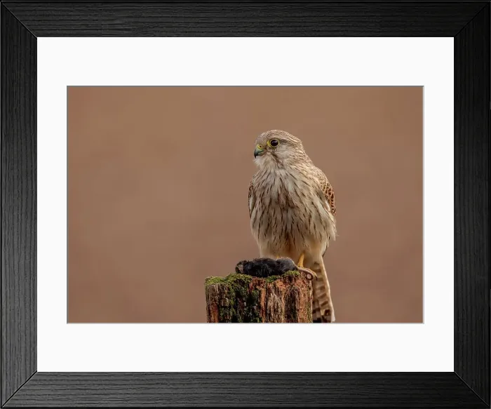 Framed Print : United Kingdom, Worcestershire