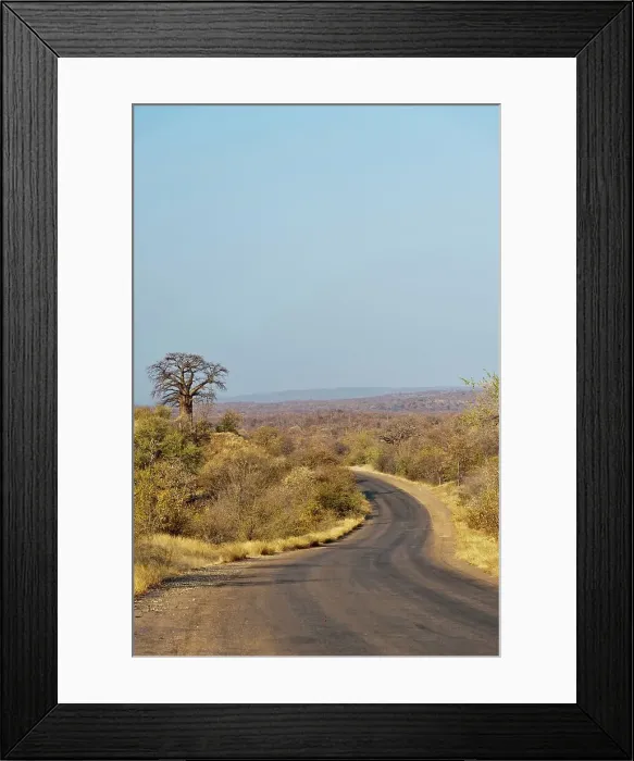 Framed Print : View of Baobab Hill is just to the west of the H1-8 that links Punda Maria Camp to the Pafuri area in the north of Framed Print : View of Baobab Hill is just to the west of the H1-8 that links Punda Maria Camp to the Pafuri area in the north of