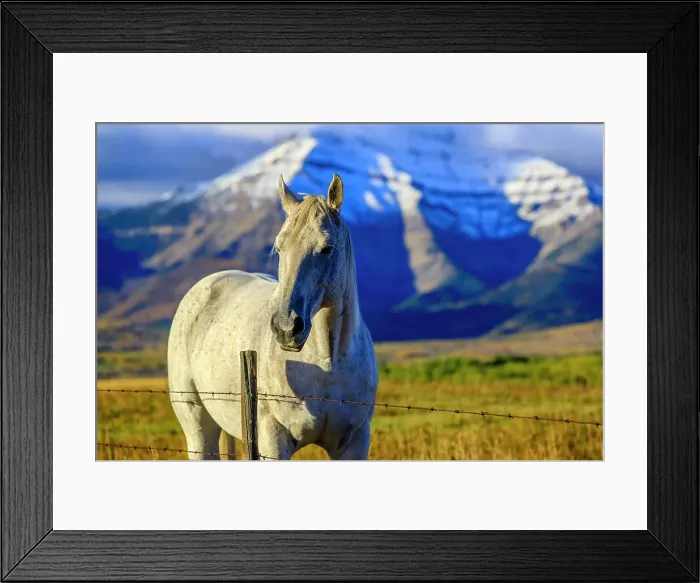 Framed Print : Horse ranch in Alberta foothills country, Canada Framed Print : Horse ranch in Alberta foothills country, Canada