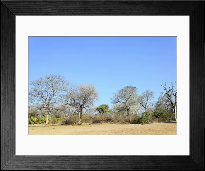 Framed Print : MalaMala (Mala Mala) Game Reserve Framed Print : MalaMala (Mala Mala) Game Reserve
