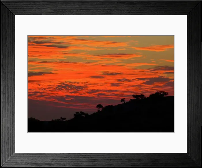 Framed Print : Sunset. Mashatu Game Reserve. Nothern Tuli Game Reserve Framed Print : Sunset. Mashatu Game Reserve. Nothern Tuli Game Reserve