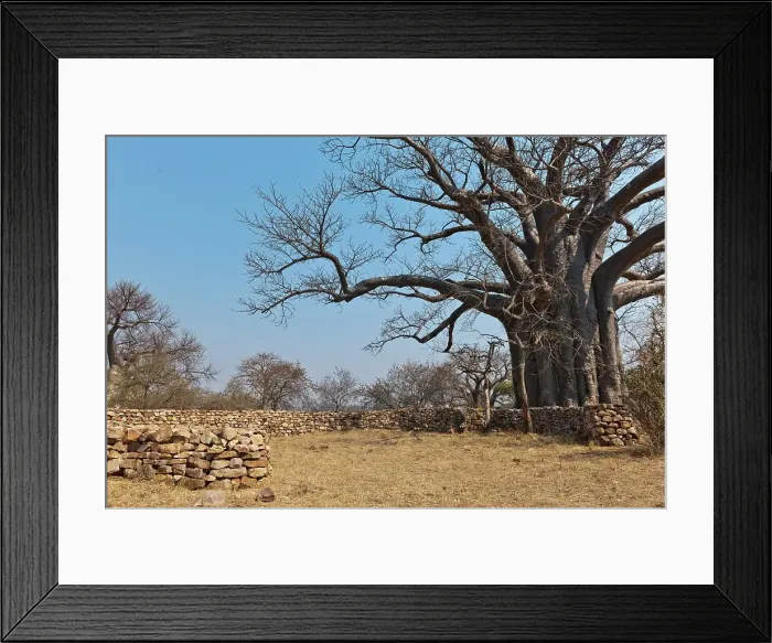Framed Print : Kruger National Park. Mpumalanga. South Africa Framed Print : Kruger National Park. Mpumalanga. South Africa