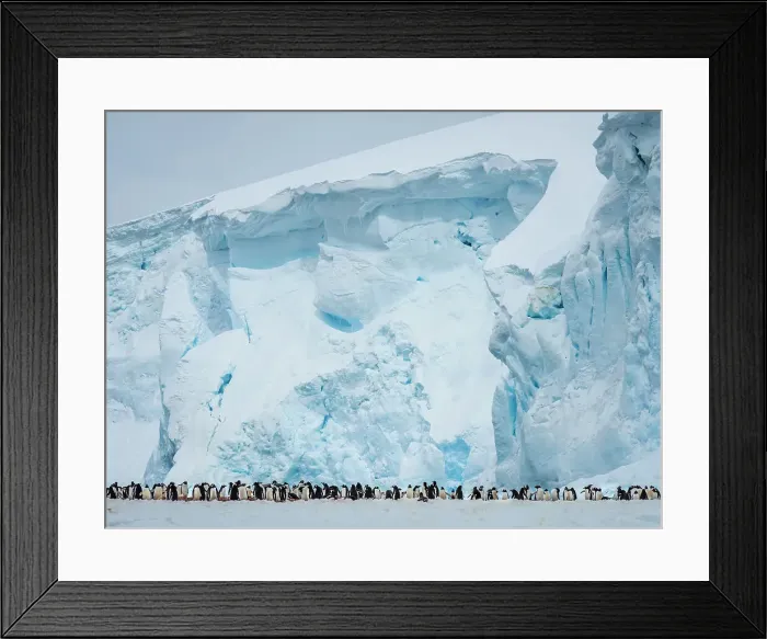 Framed Print : Antarctica Climate Change Drake Passage Global Warming