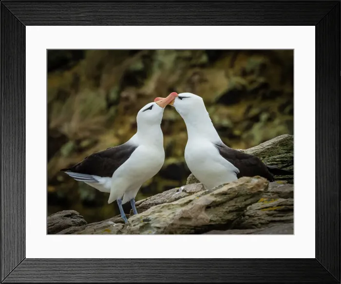 Framed Print : Climate Change Global Warming National Geographic Framed Print : Climate Change Global Warming National Geographic