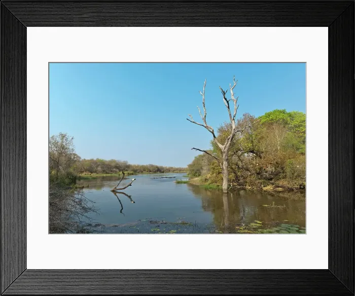 Framed Print : Kruger National Park. Mpumalanga. South Africa Framed Print : Kruger National Park. Mpumalanga. South Africa