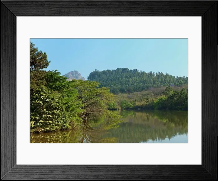 Framed Print : Mlilwane Wildlife Sanctuary. Malkerns Framed Print : Mlilwane Wildlife Sanctuary. Malkerns