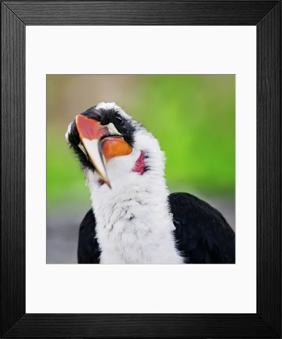 Framed Print : 4311, 4311-208