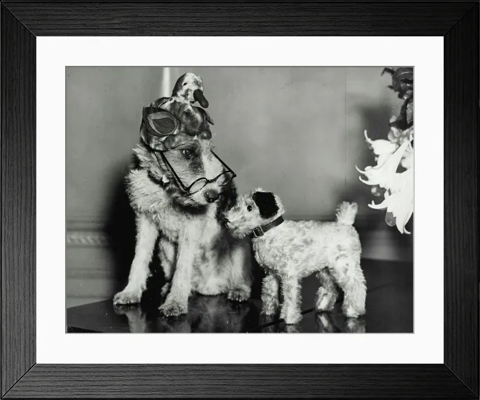 Framed Print : Hullo Where did you come fromGrandpa in festive mood greets a fresh arrival Framed Print : Hullo Where did you come fromGrandpa in festive mood greets a fresh arrival
