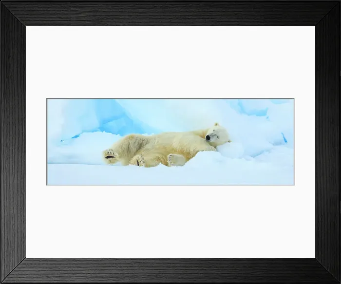 Framed Print : Arctic Arctic Ocean Climate Change National Geographic Explorer Framed Print : Arctic Arctic Ocean Climate Change National Geographic Explorer