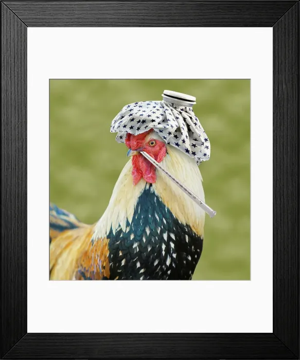 Framed Print : This Bird Has the Flu Framed Print : This Bird Has the Flu