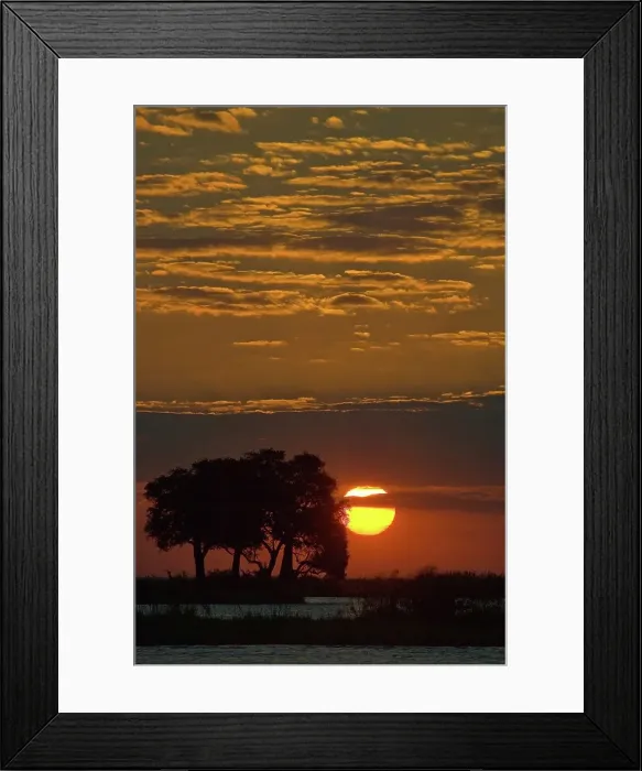 Framed Print : Chobe National Park. Botswana Framed Print : Chobe National Park. Botswana