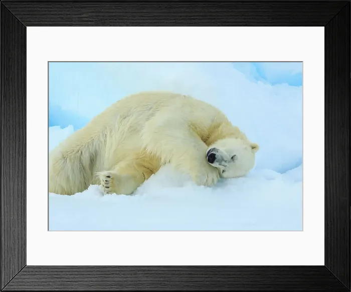 Framed Print : Arctic Ocean Climate Change Lindblad Expeditions