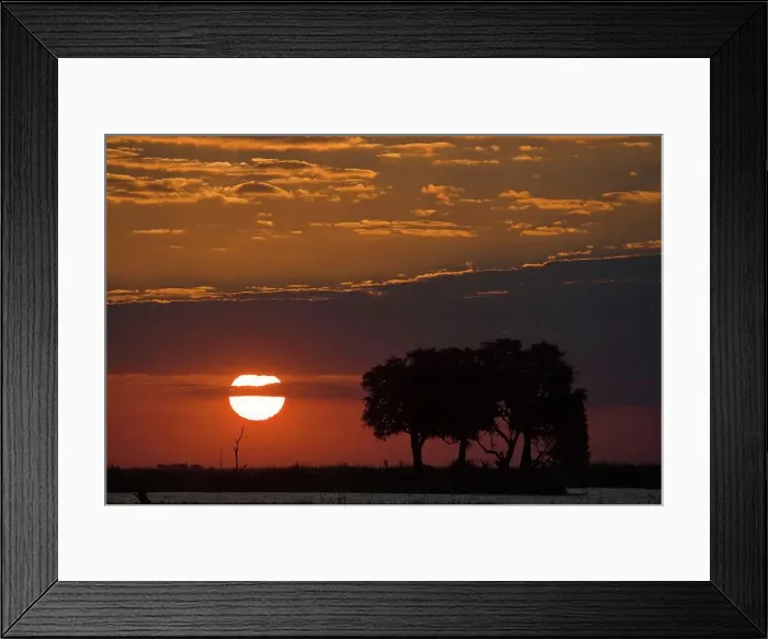 Framed Print : Chobe National Park. Botswana Framed Print : Chobe National Park. Botswana