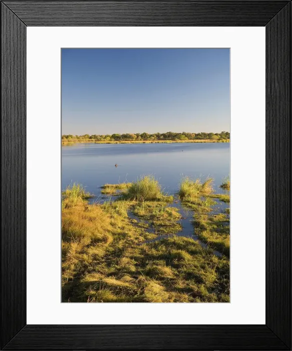 Framed Print : Hippo Pools.Moremi National Park. Botswana Framed Print : Hippo Pools.Moremi National Park. Botswana