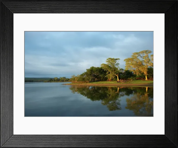 Framed Print : Nyamithi Pan. Ndumo Game Reserve Framed Print : Nyamithi Pan. Ndumo Game Reserve