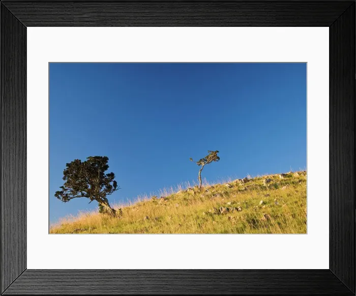 Framed Print : Itala Game Reserve. KwaZulu Natal. South Africa