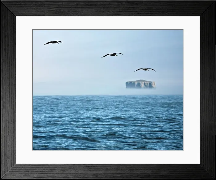 Framed Print : It was morning in Washington State along the northern coast Framed Print : It was morning in Washington State along the northern coast