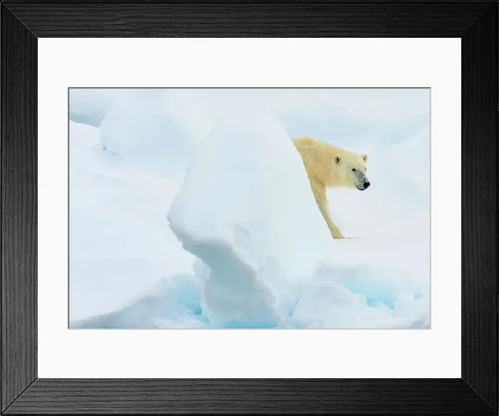 Framed Print : Arctic Ocean Climate Change Lindblad Expeditions