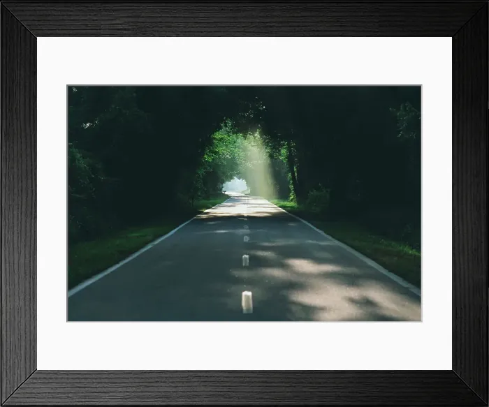 Framed Print : Highway passing through a canopy Framed Print : Highway passing through a canopy