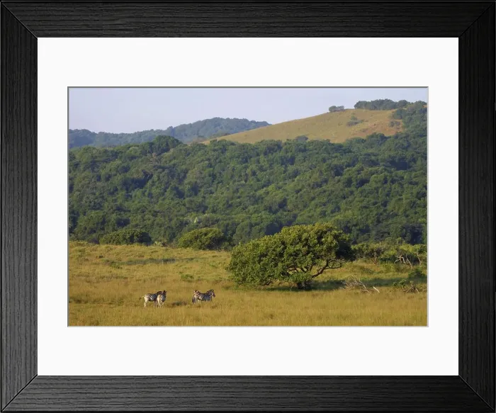 Framed Print : View of the Eastern Shores. Greater St Lucia etland Park Framed Print : View of the Eastern Shores. Greater St Lucia etland Park