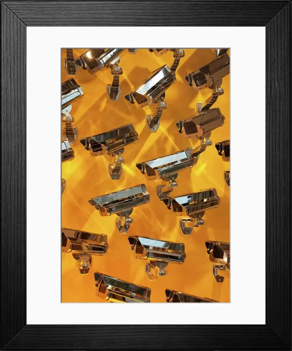 Framed Print : Surveillance camera sculptures at the Louis Vuitton store Framed Print : Surveillance camera sculptures at the Louis Vuitton store