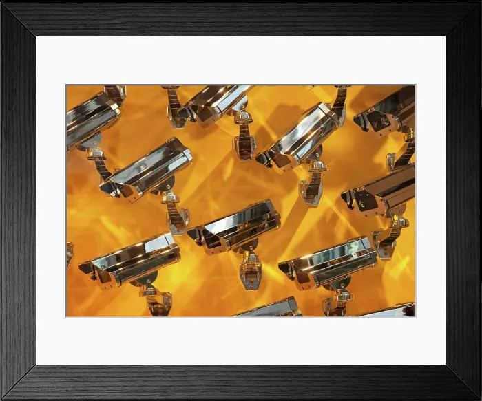 Framed Print : Surveillance camera sculptures at the Louis Vuitton store Framed Print : Surveillance camera sculptures at the Louis Vuitton store