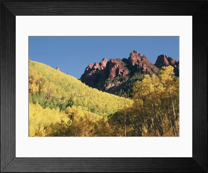 Framed Print : Forest and mountainous landscape, Colorado, USA Framed Print : Forest and mountainous landscape, Colorado, USA