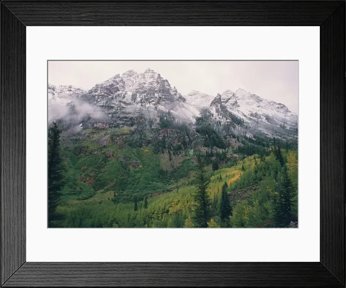 Framed Print : Forest leading up to snow covered mountain Framed Print : Forest leading up to snow covered mountain