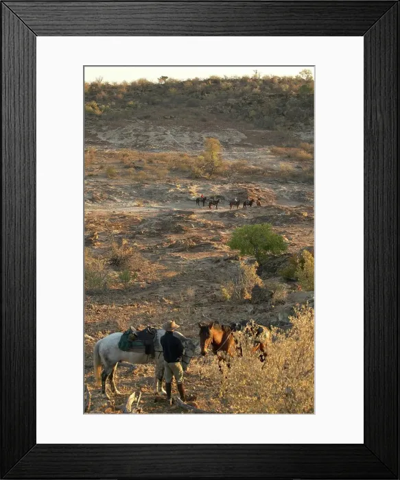 Framed Print : Guests on horse safari at Mashatu Game Reserve Framed Print : Guests on horse safari at Mashatu Game Reserve