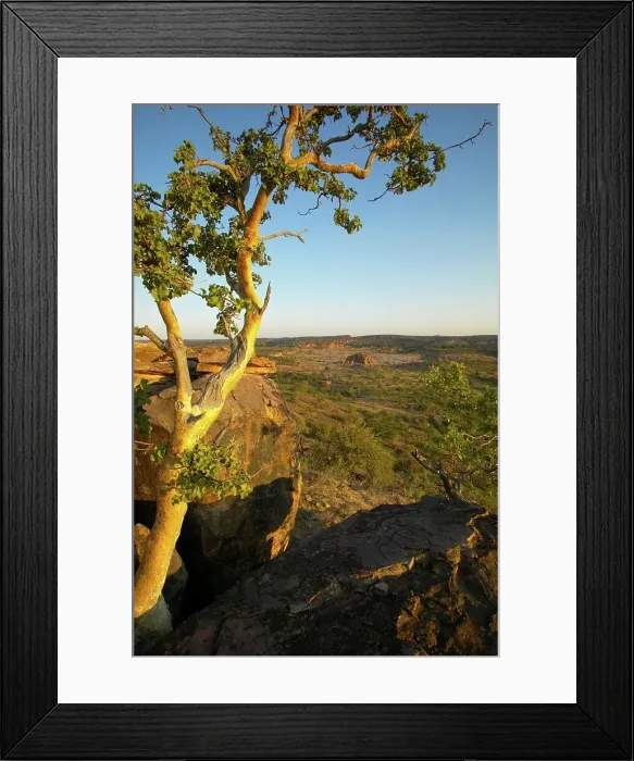 Framed Print : View from de Beer's Koppie towards Limpopo River Framed Print : View from de Beer's Koppie towards Limpopo River