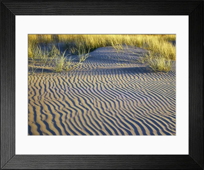 Framed Print : Grassy Sandbank Framed Print : Grassy Sandbank