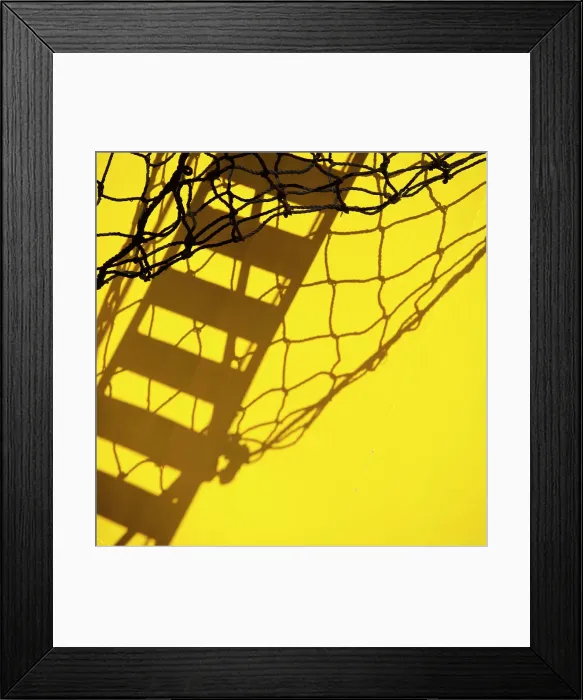 Framed Print : Net and Gangplank Framed Print : Net and Gangplank