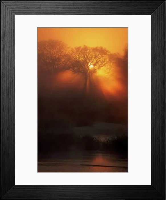Framed Print : Sunrise through mist on the Sand River