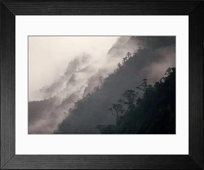 Framed Print : Fog rising from the forest on mountainous landscape Framed Print : Fog rising from the forest on mountainous landscape