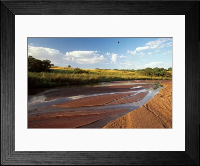 Framed Print : Sand River. MalaMala Game Reserve Framed Print : Sand River. MalaMala Game Reserve