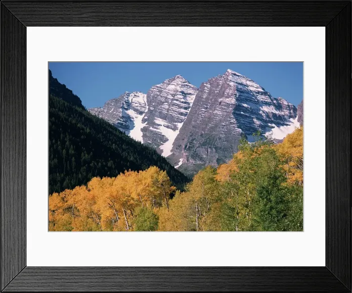 Framed Print : Forest with snow covered mountains in the background Framed Print : Forest with snow covered mountains in the background