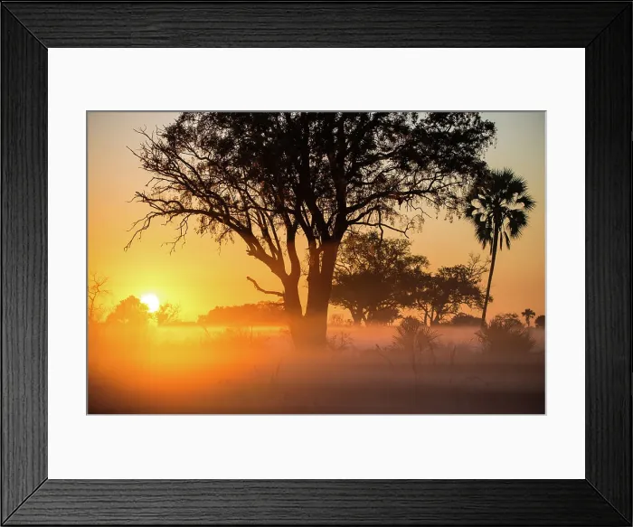 Framed Print : Africa Zambia Botswana South Africa Capetown Framed Print : Africa Zambia Botswana South Africa Capetown
