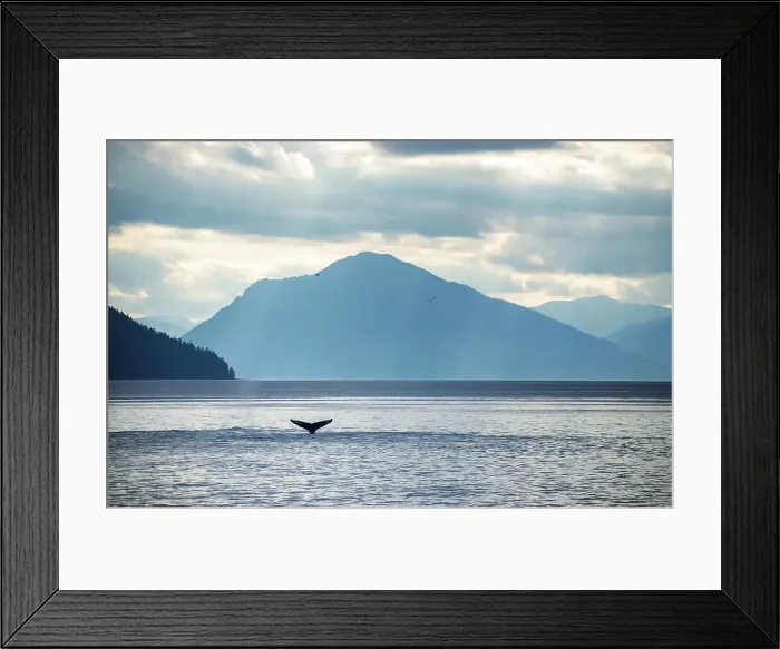 Framed Print : Max Seigal Photography Outdoors Nature Water Framed Print : Max Seigal Photography Outdoors Nature Water