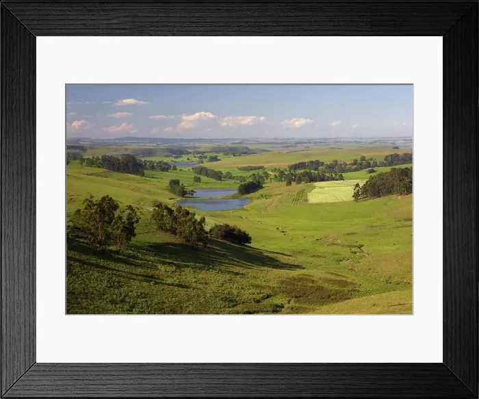 Framed Print : Rural Scene. near Rosetta. KwaZulu Natal Framed Print : Rural Scene. near Rosetta. KwaZulu Natal