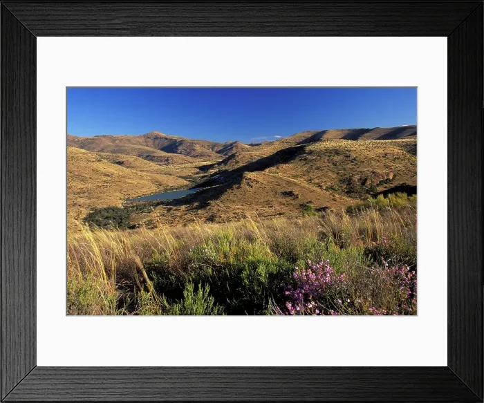 Framed Print : View. Mountain Zebra National Park. South Africa Framed Print : View. Mountain Zebra National Park. South Africa