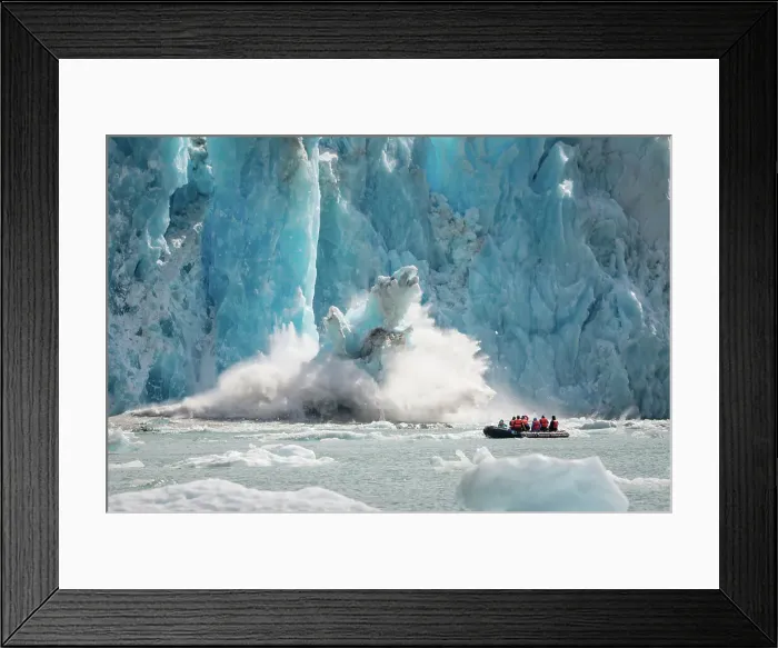Framed Print : Alaska Inside Passage National Geographic Sea Lion Framed Print : Alaska Inside Passage National Geographic Sea Lion