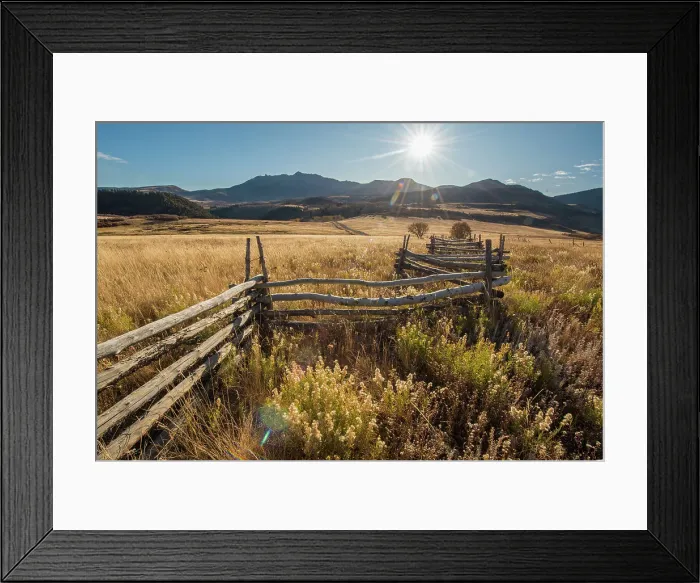 Framed Print : Aspen Fall Fall Colors Road Trip Aspens Colorado Framed Print : Aspen Fall Fall Colors Road Trip Aspens Colorado